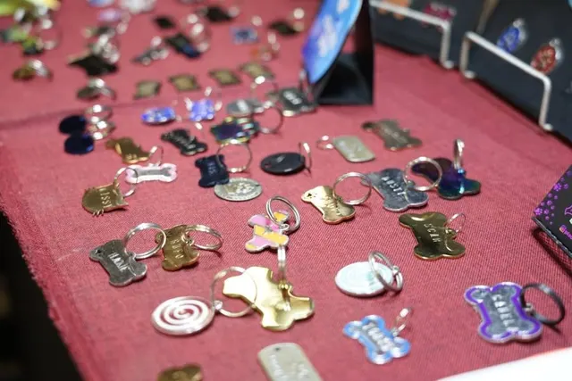 Expo Gatitos 2025 conquistó corazones en León