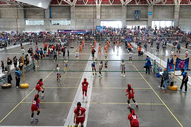 Festival Nacional Infantil y Juvenil de Voleibol León 2025: ¡el voleibol juvenil brilló del 20 al 26 de julio!