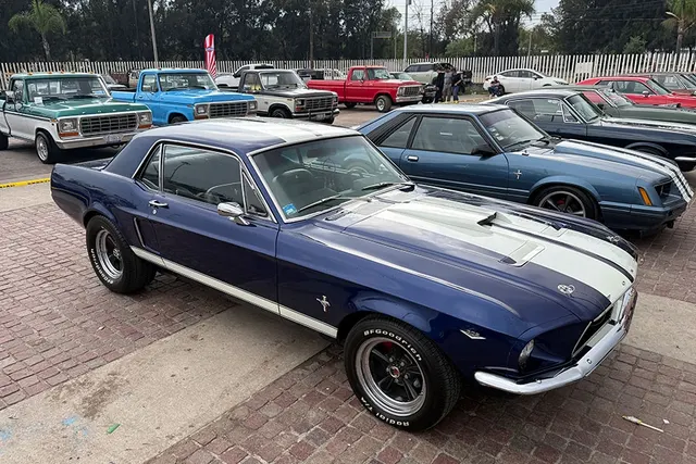 D’Car Fest aceleró la pasión automotriz en León